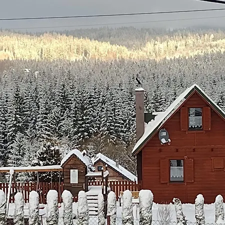 Krotki Szpic Istebna