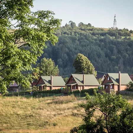 Krótki Szpic Istebna