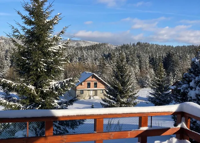 Krotki Szpic בקתה *